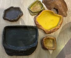 Bundle of Reptile Acessories Feeding Bowls
