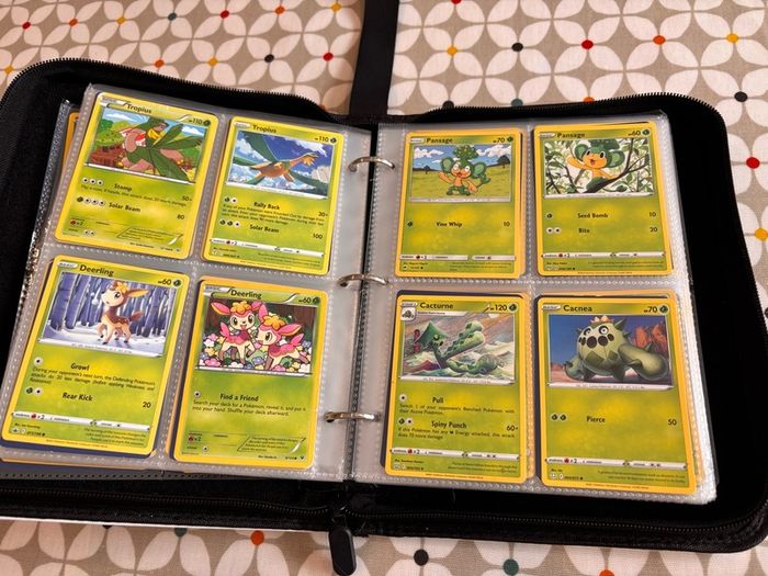 Pokemon folder and cards