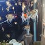 angel fish Image 6