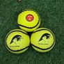 Sliotars, Size 4, Size 5, Quick Touch, Smart Touch. Top quality premium Sliotars Hurling Balls Image 2