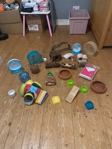 hamster supplies