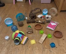 hamster supplies