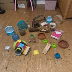 hamster supplies