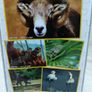 5 Deluxe Jigsaw Puzzles In Storage Tin Image 5