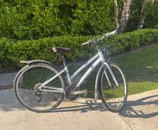Hybrid bike