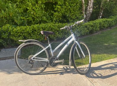 Hybrid bike