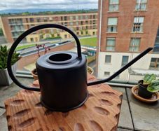 Decorative Metal Watering Can