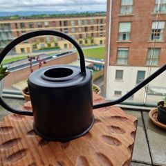 Decorative Metal Watering Can
