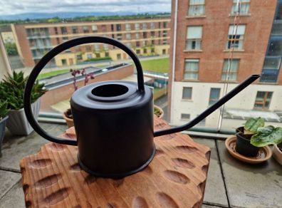 Decorative Metal Watering Can