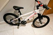 20"  Mountain Bike