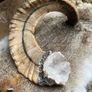 1 Rams Horn Soldered to a Quartz Geode Crystal Hone Decor Decoration Alter Image 3