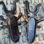 Cast Iron Beetle Boot Jacks Image 6