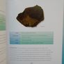 Crystal Bible, Judy Hall, Crystals, Paperback book Image 5