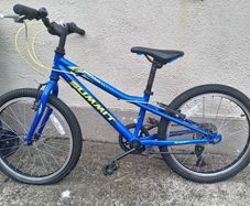20 inch kids bike