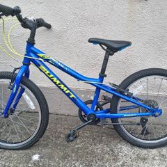 20 inch kids bike