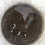 Live & frozen baits Image 6