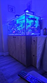 aquarium