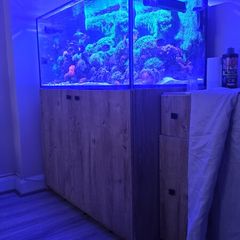 aquarium