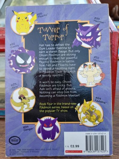 Pokemon book bundle