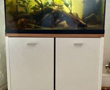 Full aquarium set up