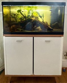 Full aquarium set up