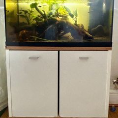 Full aquarium set up