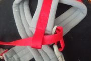 Dog harness