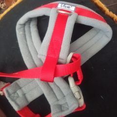 Dog harness