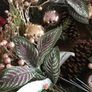 Blush tone festive wreath Image 2