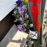 Fuji Road Bike Image 4