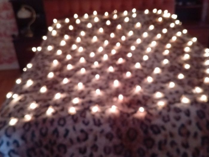 Christmas Light