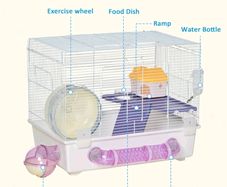 hamster cage