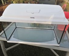 Fish tank