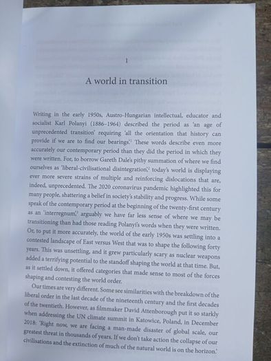 Karl Polyani and the Contemporary Political Crisis