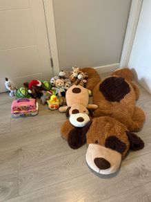 Teddys bundle