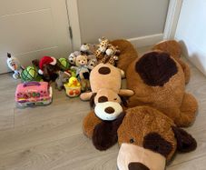 Teddys bundle