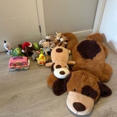 Teddys bundle