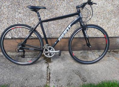 Hybrid bike