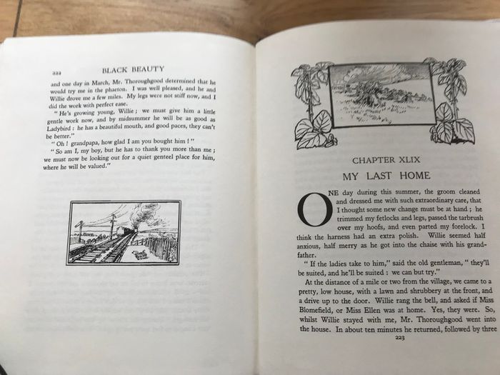 New Black Beauty Book