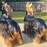 Pair Of Vintage Coopercraft Yorkshire Terrier Image 4