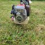 petrol strimmer Image 2