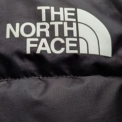 The north face jacket