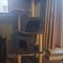 Large Cat Tree Image 2