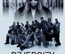 Diversity tickets