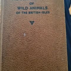 Observer's Book Of Wild Animals Of The British Isles.  Compiled By  W J Stoke.1.