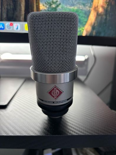 Neumann TLM 102