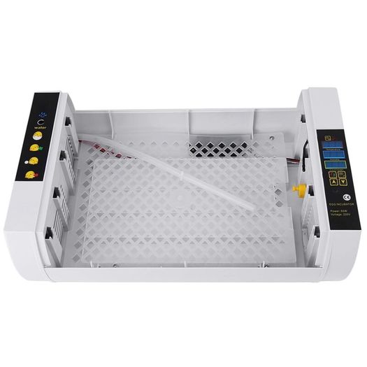 24-Egg Incubator with Automatic Digital Temperature Control