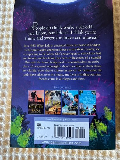2 Children's Books . Suit 8/ 10  Plus . The Sisters Grimm & School for Skylarks.