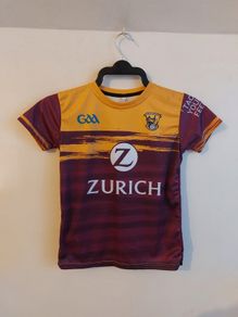 wexford gaa jersey