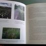 Our grassland heritage A case for conservation Ireland Image 4